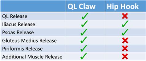 is the hip hook legit|Hip Hook Vs. QL Claw Review